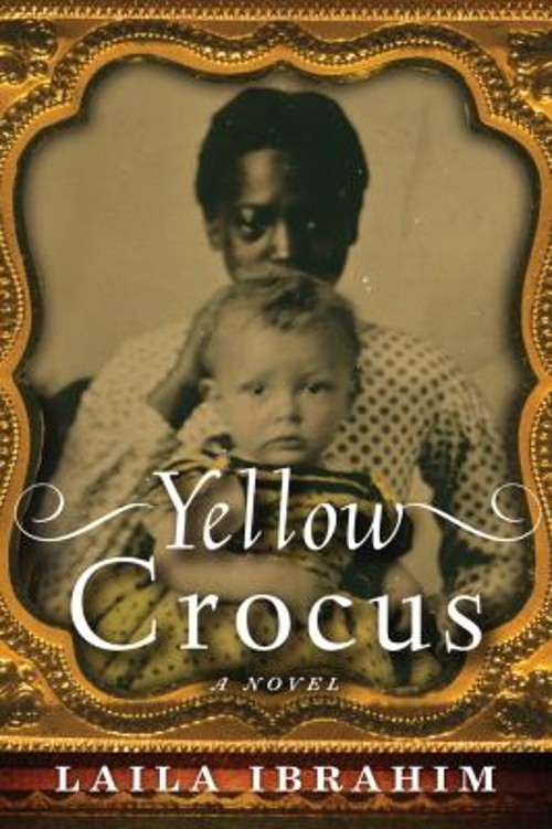 Yellow Crocus Paperback Laila Ibrahim