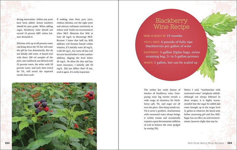 Home Winemaking gallery