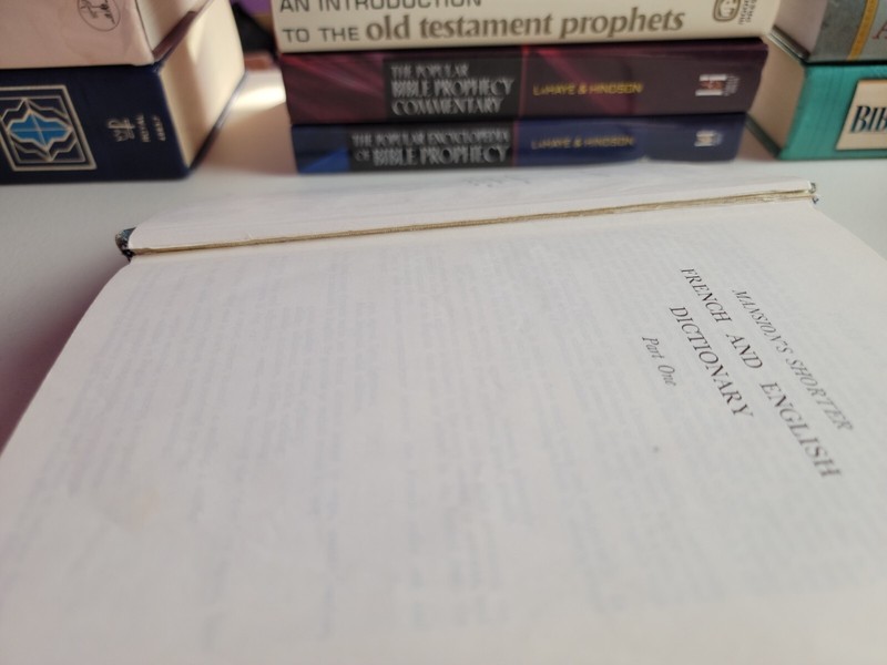 Mansion's Shorter French and English Dictionary gallery