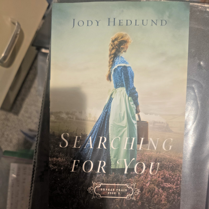 Searching for You by Jody Hedlund (2018, Trade Paperback)