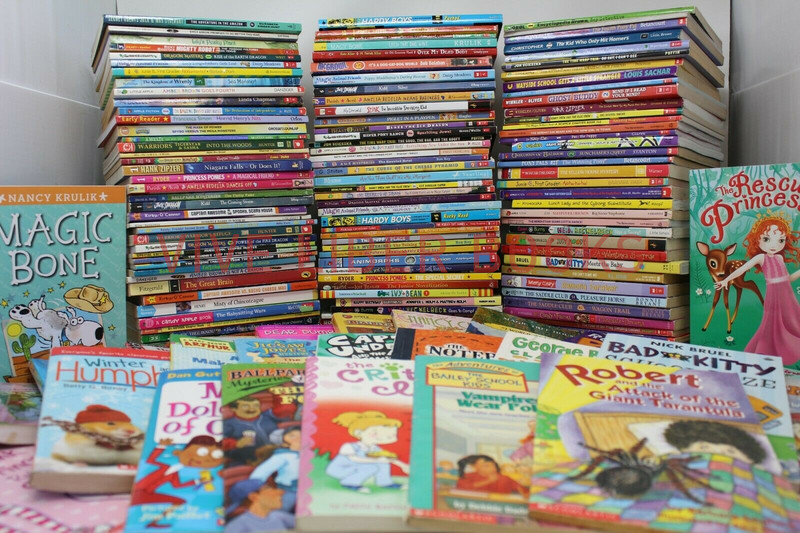 Bulk/Huge Lot of 50 of Children's Kids Chapter Books - Random - Free Shipping! gallery