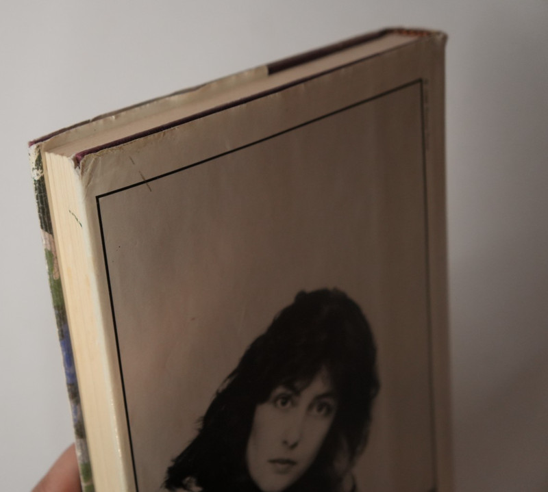 At Risk by Alice Hoffmann (1988, Hardcover, GOOD) 1st Print gallery