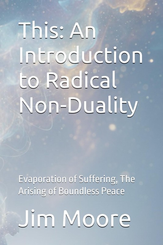 This: An Introduction to Radical Non-Duality: Evaporation of Suffering
