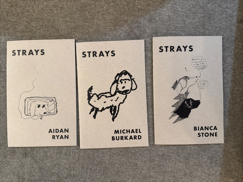 Chapbook Lot: Rare Bianca Stone, Aidan Ryan, Michael Burkard