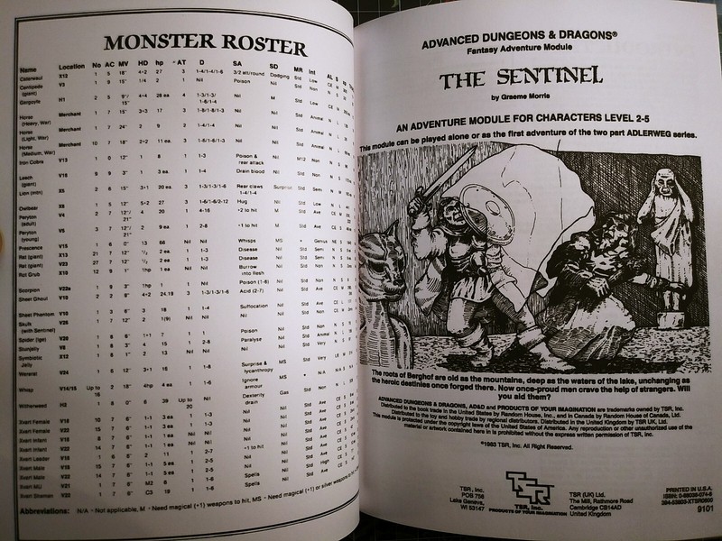 UK2 The Sentinel - Dungeons & Dragons - D&D - AD&D gallery