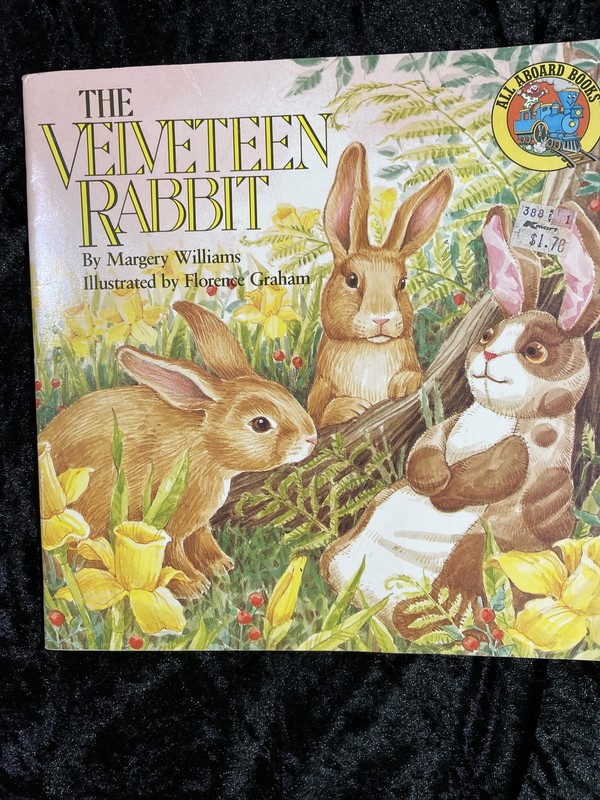 A lot of 4 early readers - great picture book readers - hard cover and paperback gallery