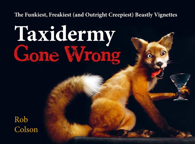 Taxidermy Gone Wrong: The Funniest, Freakiest (and Outright Creepiest) Beast…
