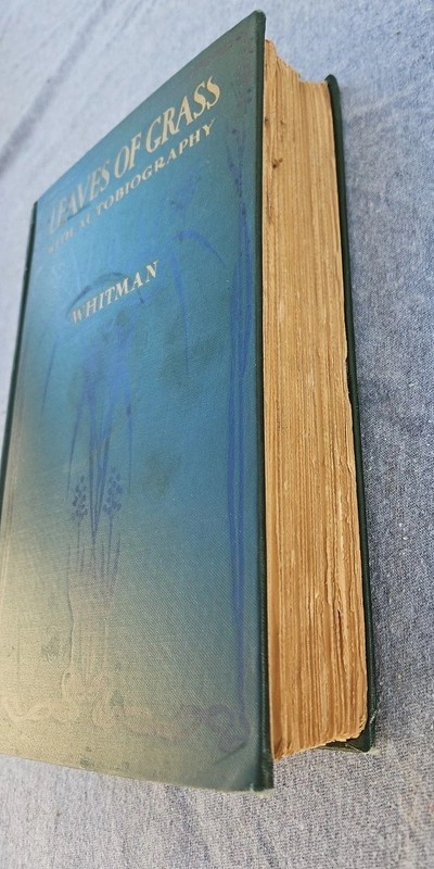 1900 Leaves of Grass by Walt Whitman – David McKay Edition – Antique Hardcover gallery