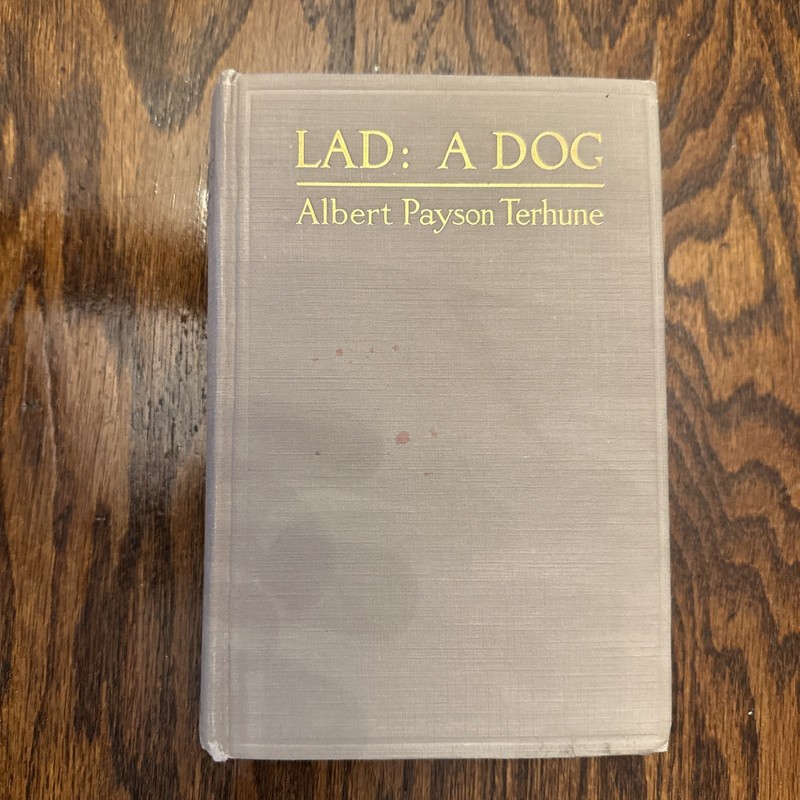 1919 Lad: A Dog by Albert Payson Terhune E P Dutton New York 1st / 5th Printing