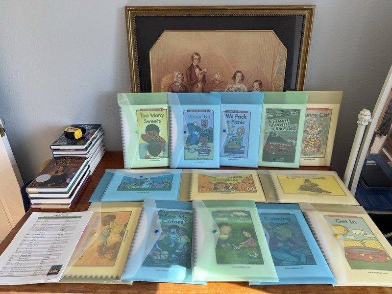 13 laminated cardstock leveled readers with picture symbols for children autism
