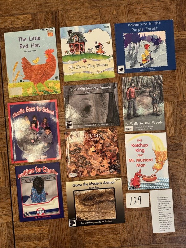 Emergent Readers, Reading Recovery, 10 Bks, Lvl 14, Late 1st GR, Homeschool,#129