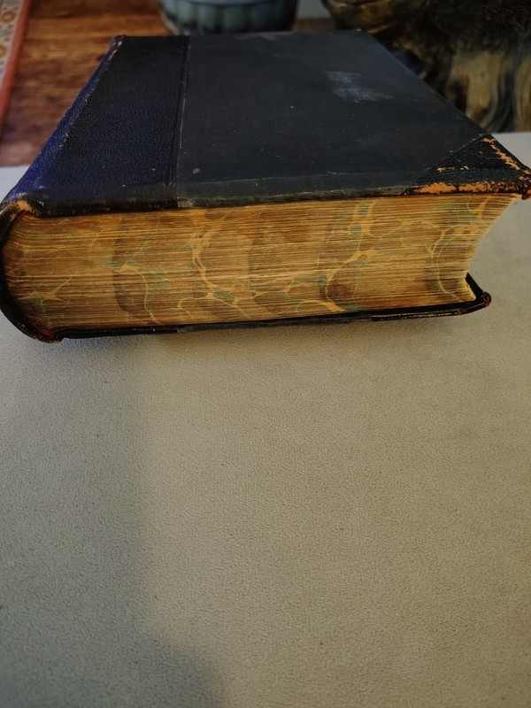 Daniel And The Revelation By U.Smith Leather 1907 Bible Illustrated Prophecy gallery