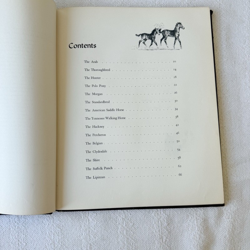 Vintage Children's Book ALBUM OF HORSES by Marguerite Henry 1957 Hardcover gallery