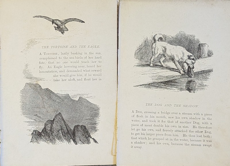Loose Pages Ephemera AESOP'S FABLES 1800s Victorian Art Illustrations Animals gallery