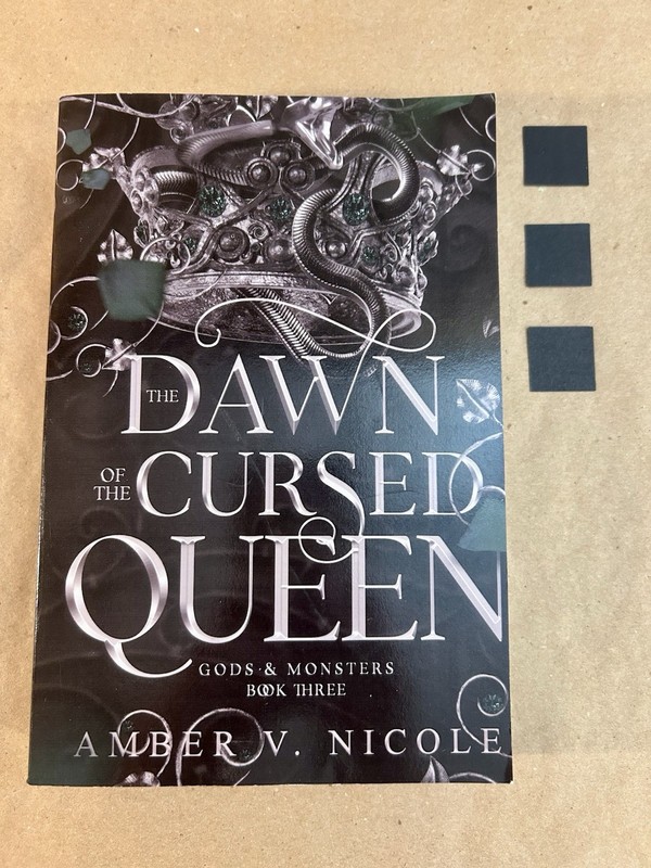 The Dawn of the Cursed Queen by Amber V. Nicole (2024, Trade Paperback)
