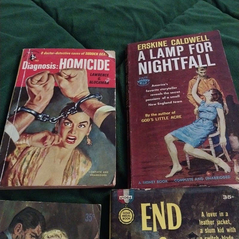 10 Vintage Signet Dell Paperback Books 40s 50s 60s Noir Smut Crime Love Lot gallery