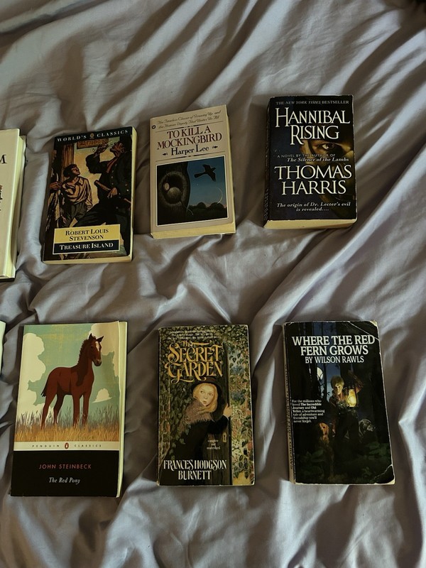 American Fiction Lot of Classics 10 books: Harper Lee, John Steinbeck, and more gallery