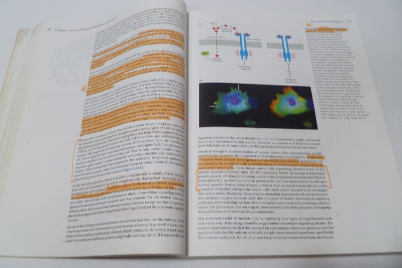 The Biology of Cancer, 2nd Edition Robert Weinberg Acceptable Condition gallery