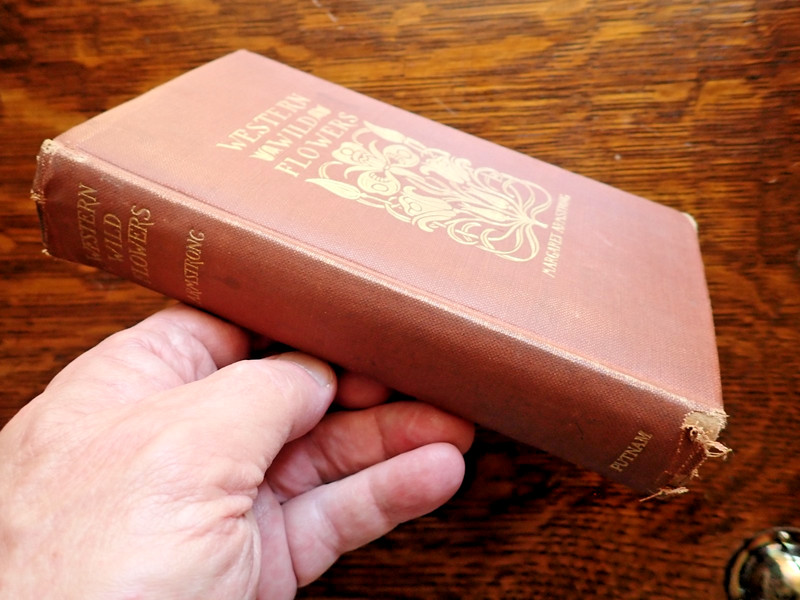 1915 Field Book Western Wild Flowers Margaret Armstrong 1st Edition gallery