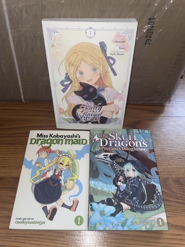 English Fantasy / Dragons Manga Manhwa Lot