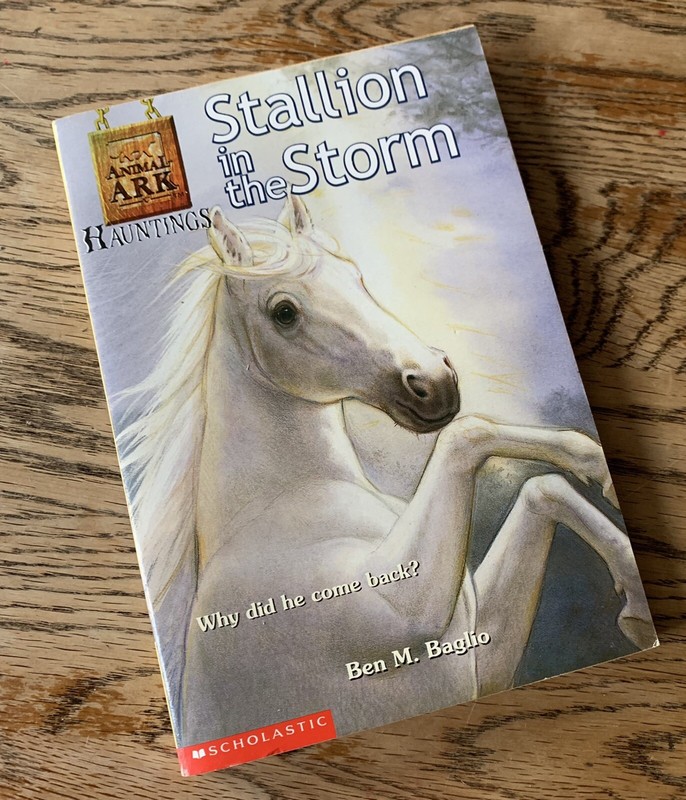 Animal Ark Hauntings Ser.: Stallion in the Storm by Ben M. Baglio 2001
