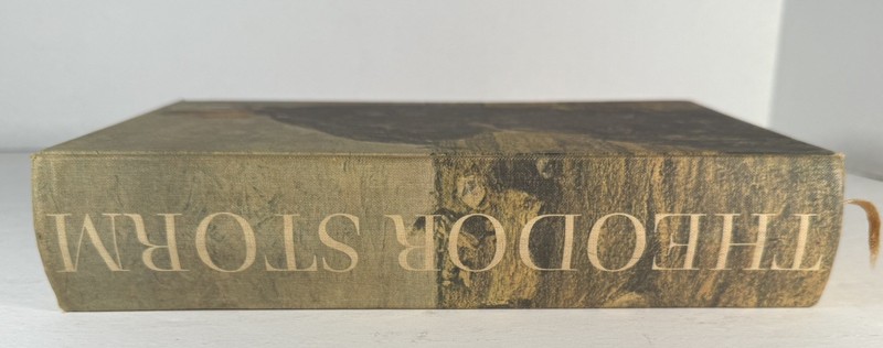 Am Grauen Meer: Gesammelte Werke- Theodor Storm, 1962 GOOD CONDITION gallery