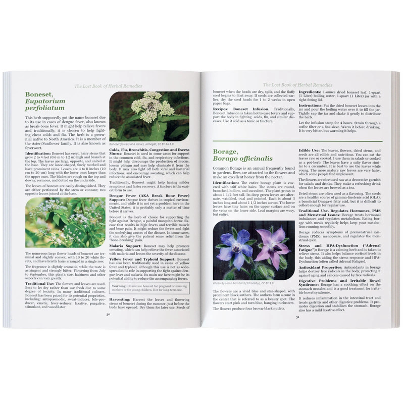 The Lost Book of Herbal Remedies-Paperback with Color Pictures gallery