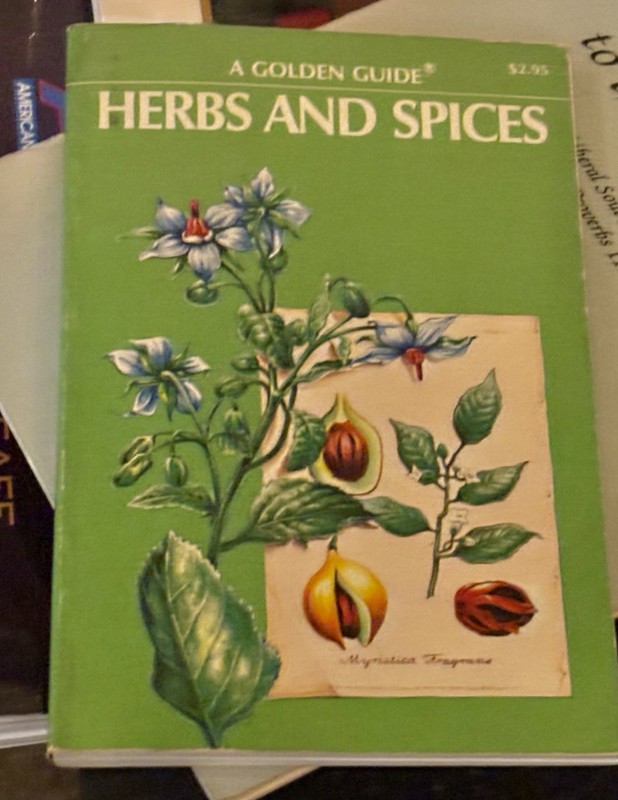 Golden Guide Natural Remedies Herbs & Spices Herbal Medicine Botanical Book 1976