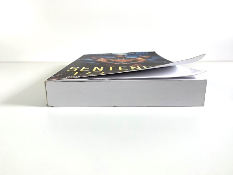 Sentenced to War Book 1 by J.N. Chaney Jonathan Brazee 1st Edition Paperback gallery