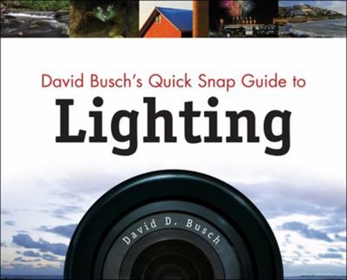 David Busch’s Quick Snap Guide to Lighting Paperback David D. Bus