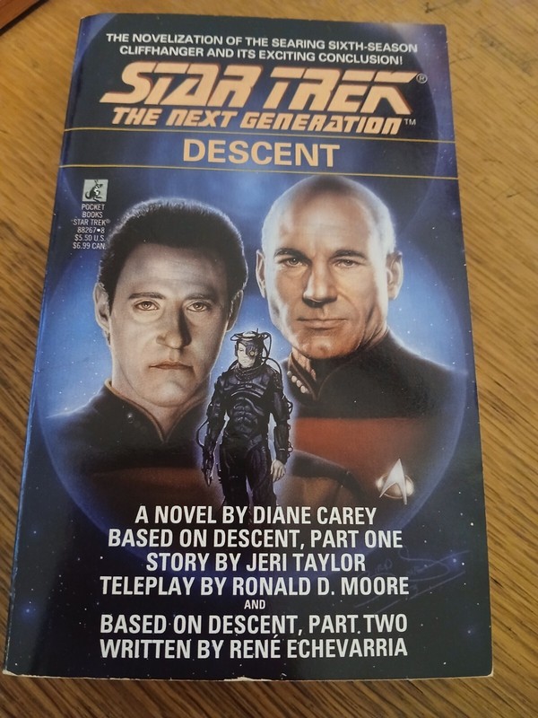 Star Trek The Next Generation: Descent by Diane Carey 1993