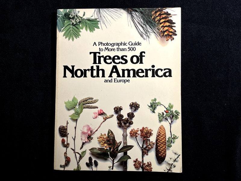 Trees of North America and Europe Roger Phillips 1978 – First American Edition