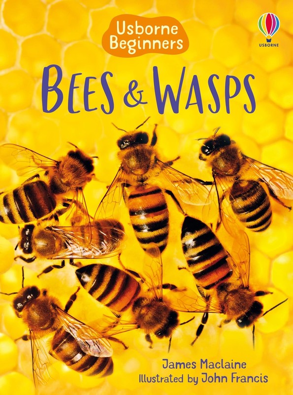 Bees & Wasps (Usborne Beginners) (Beginners Series) – James Maclaine – Good …