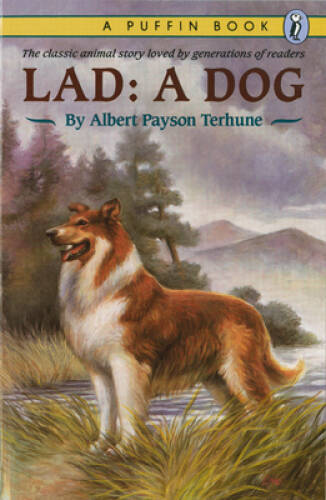 Lad: A Dog – Paperback By Albert Payson Terhune – VERY GOOD