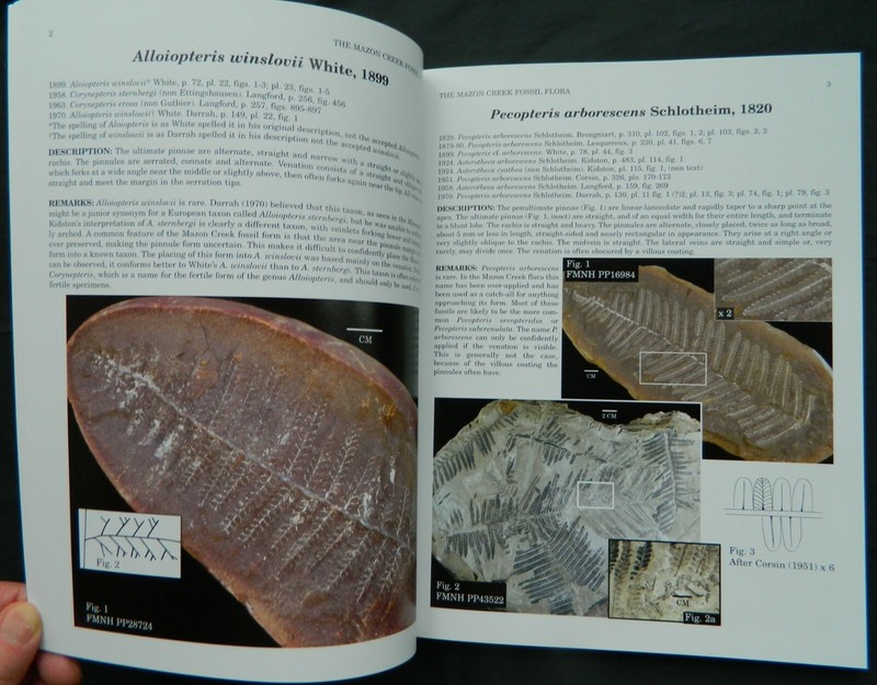 The Mazon Creek Fossil Flora, ESCONI hard cover book, fossil plants, 2006 Wittry gallery