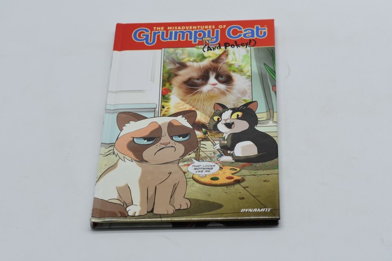 The Misadventures of Grumpy Cat and Pokey HARDBACK VHTF RARE OOP RIP FAST SHIP