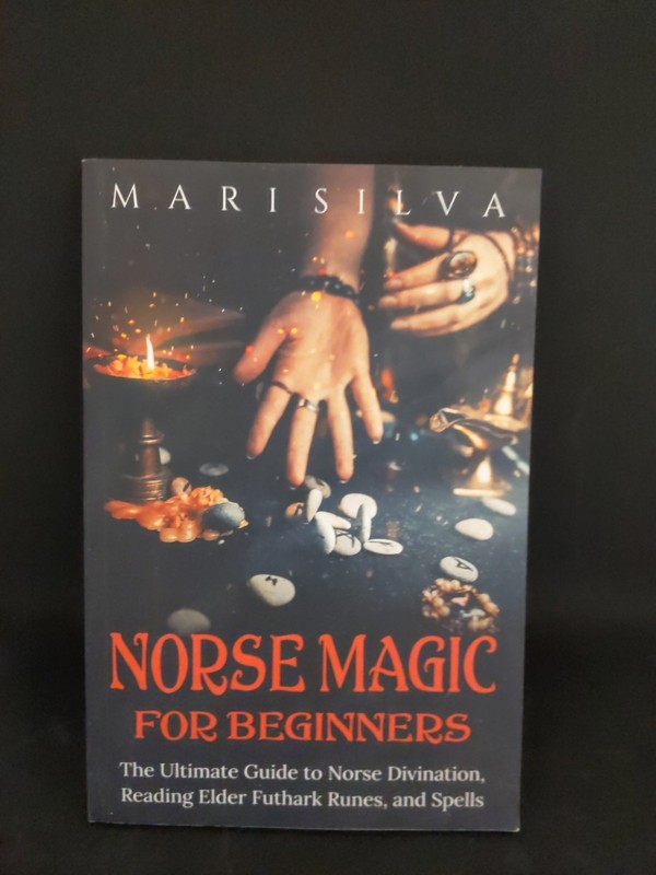 Norse Magic for Beginners: The Ultimate Guide to Norse Divination, Reading Elde,