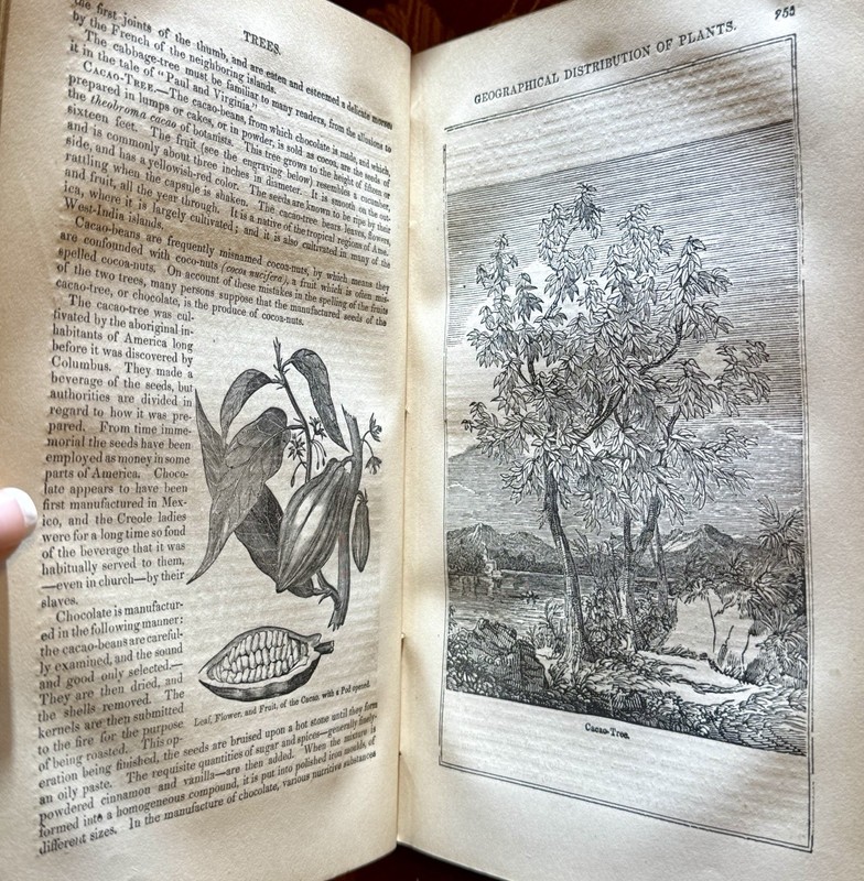 1874 Wonders of the World Illustrated Antique Book Lee & Shepard Victorian gallery