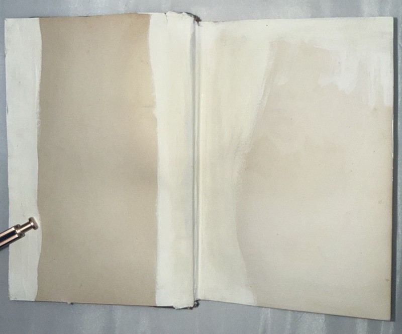 In Darkest Africa Vol II 1890 1st Edition by Henry M. Stanley Leather bound gallery