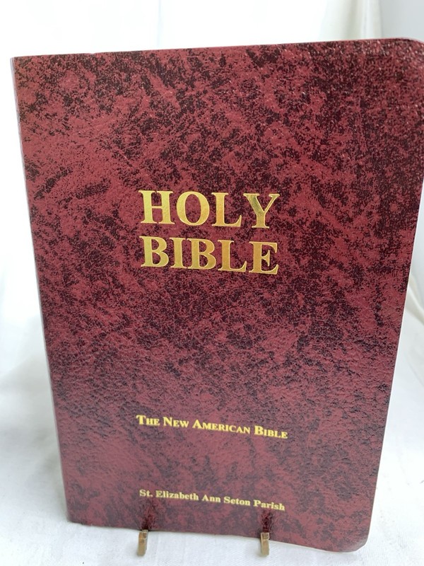 Holly Bible The New American Bible 5 3/4” X8 1/2”