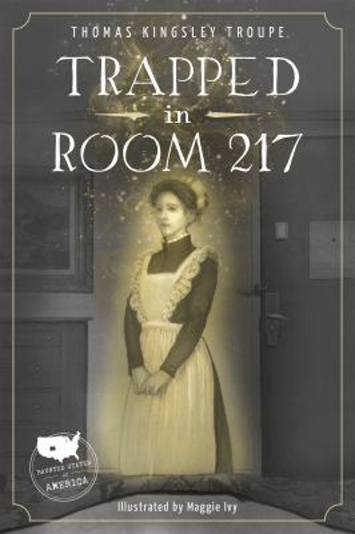 Trapped in Room 217 Paperback Thomas Kingsley Troupe