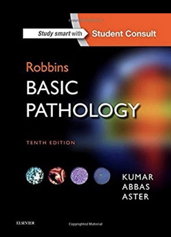 Robbins Basic Pathology Hardcover
