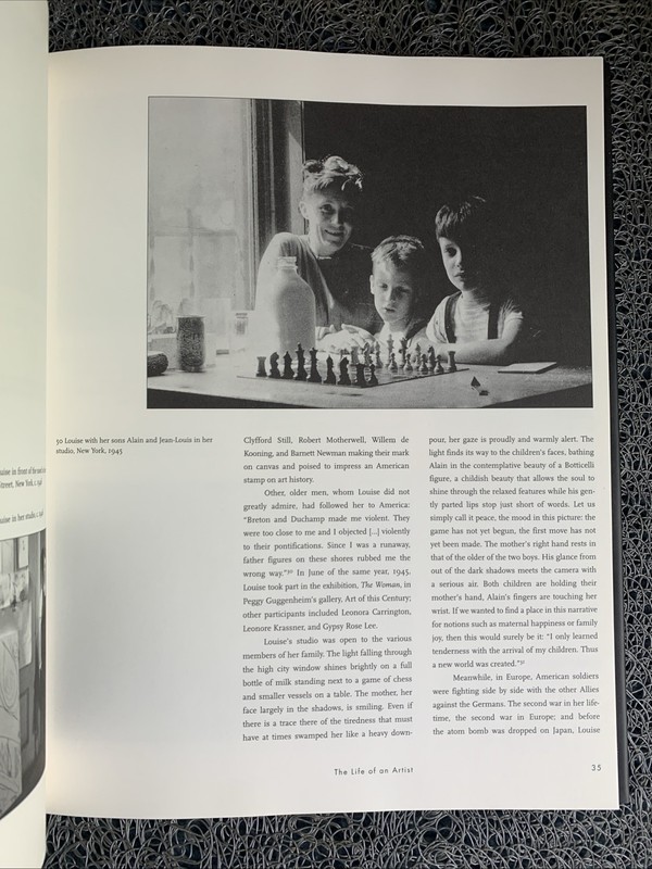 Louise Bourgeois : The Secret of Cells by Petrus Graf Schaesberg : Hardcover VGC gallery