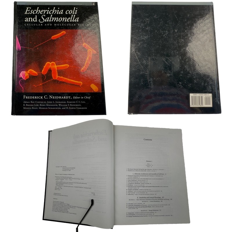 Escherichia Coli and Salmonella: Cellular and Molecular Biology (2nd Ed.) (1996)