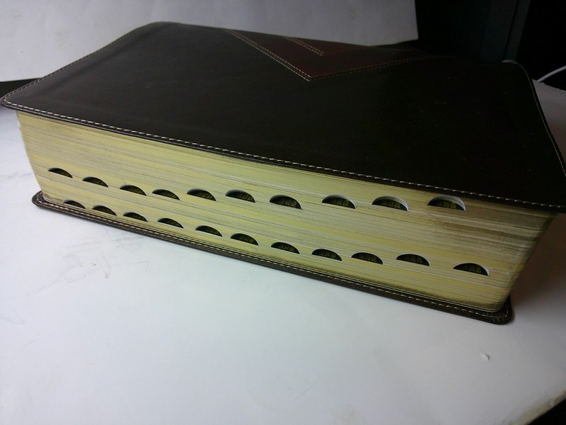 TYNDALE NLT ILLUSTRATED STUDY BIBLE BONDED LEATHER 2015 NICE gallery