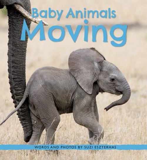 Baby Animals Moving Hardcover Suzi Eszterhas