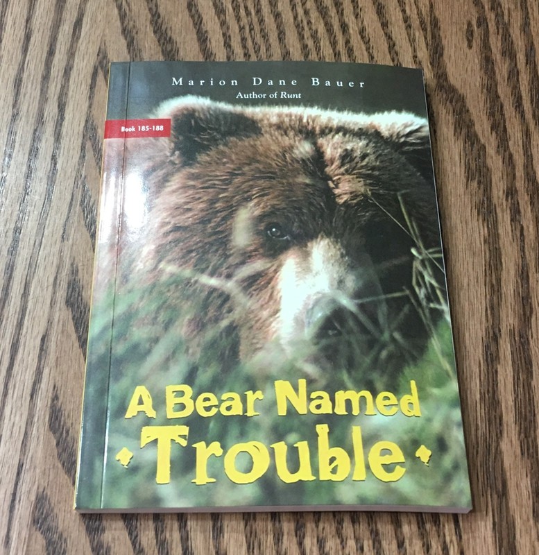 FOUNTAS & PINNELL LEVELED LITERACY INTERVENTION / 6 CHAPTER BOOKS / RED LEVEL gallery