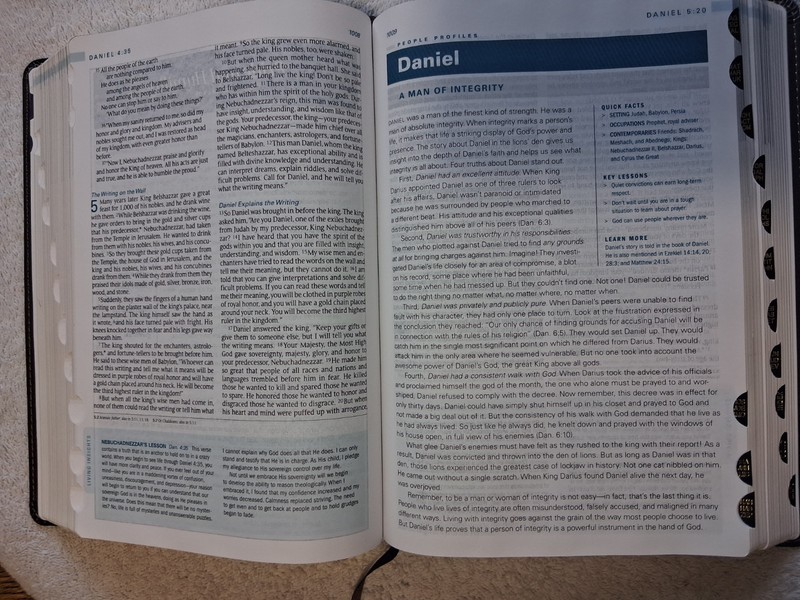 Tyndale NLT The Swindoll Study Bible TuTone (Leather Like, Brown/Tan) Indexed gallery