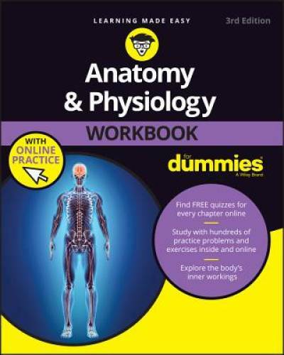 Anatomy and Physiology Workbook For Dummies, with Online Practice – GOOD