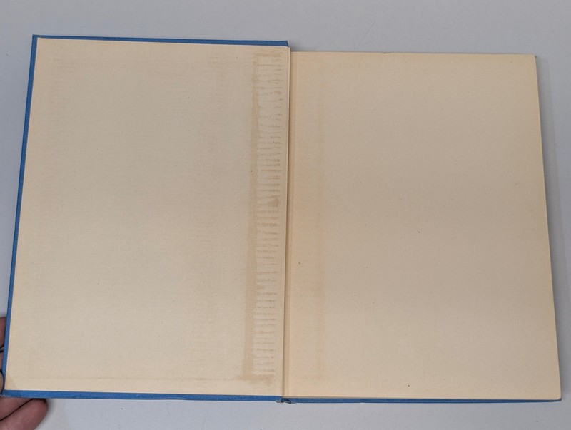 The New Wizard of Oz L. Frank Baum Hardcover Book gallery